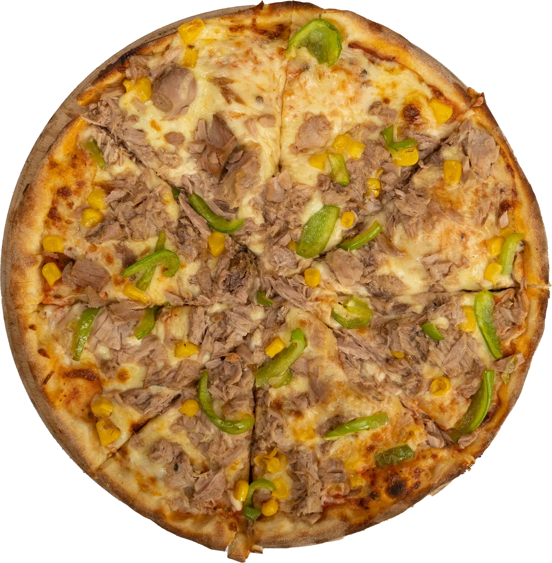 Ton Balıklı pizza